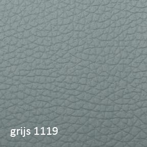 1119_grijs.jpg