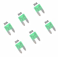 Mini Steekzekeringen 30A - 6 stuks