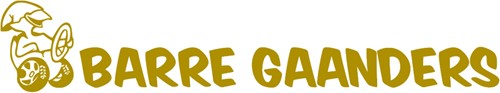 Sticker "BARRE GAANDERS" (set van 2 stuks) - Goud - Ja, binnenzijde plakken