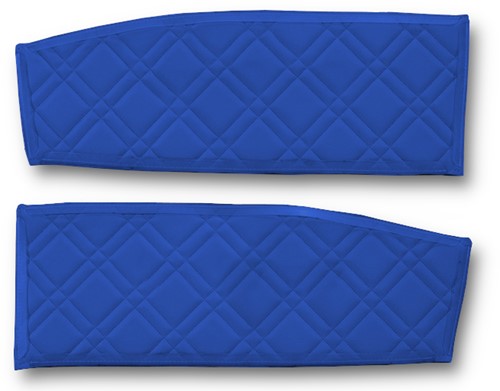 Door panels DAF Blue-3