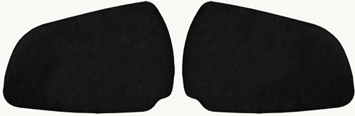 Türverkleidung Scania R Schwarz-3