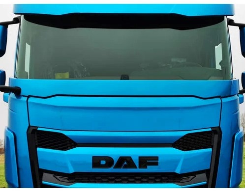 GFK/Polyester Steinfänger DAF XF / XG / XG+