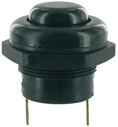 Push switch flat