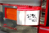 RVS Cover Knipperlicht Scania Streamline