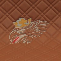 Motortunnel Scania braun genähtes Kunstleder-3