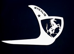 Edelstahlrahmen-Türgriff Stralis/Cube/Hi-Way