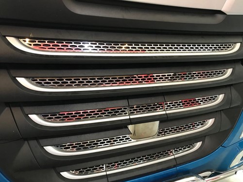 Stainless Steel Perforated Grill DAF XF106