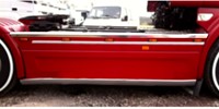 Edelstahl Seitenleiste Scania-3